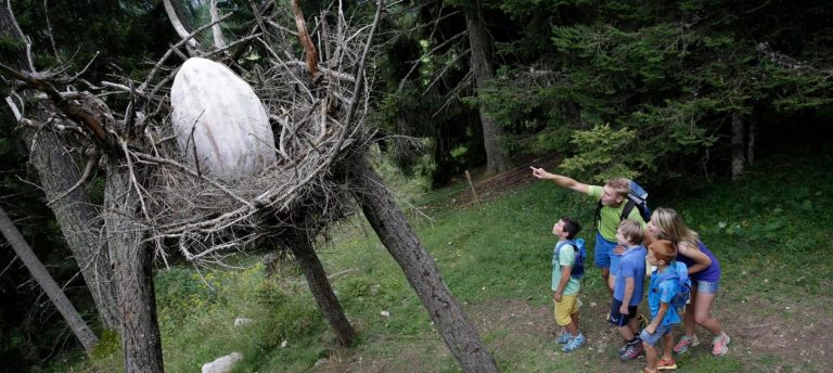 Latemar, la foresta dei draghi