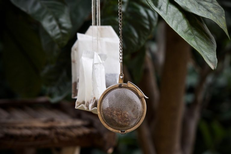 Differenza tra tisana, infuso e decotto