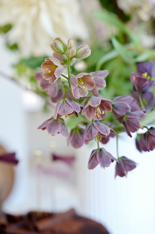 canzoni italiane dedicate alla primavera