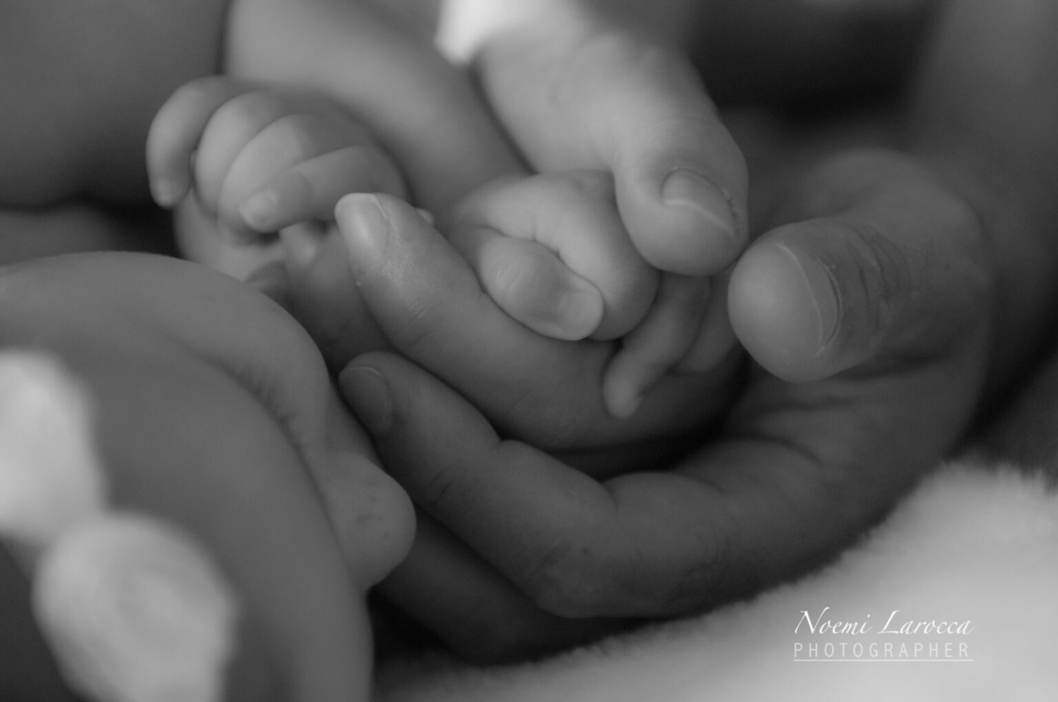 L'Incendiaria Firestarter (1980) dello scrittore Stephen King