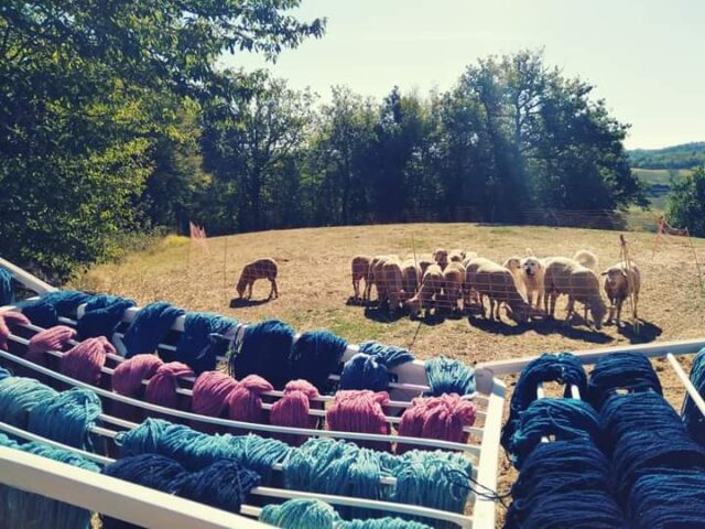 lana di cane
