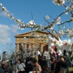 Festa del Mandorlo in Fiore si svolge all'inizio del mese di marzo nella Valle dei Templi di Agrigento