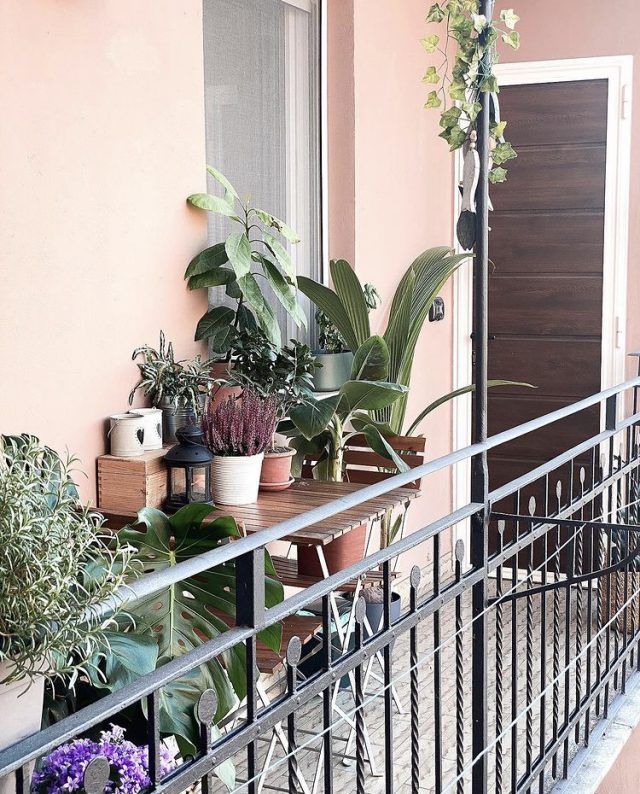 piante del balcone