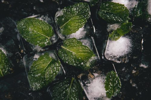 Cubetti di ghiaccio alla menta