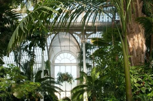 giardini botanici