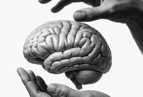 Cervello umano tra due mani in bianco e nero.
